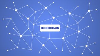 kaiyun中国官方网站-英超青训引入虚拟现实技术强化战术理解和实战演练，英超青训最好的球队